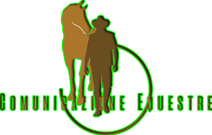 www.maneggioleonessa.it